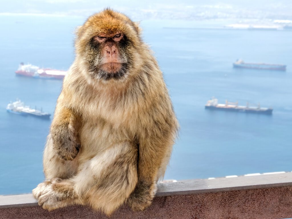 Gibraltar Trip Wednesday 9 November